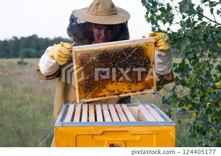 A beekeeper, a woman in a protective suit against bee stings, holds a frame with honey from a bee hive in her hands. Beekeeping, care of the hive A beekeeper, a woman in a protective suit against bee stings, holds a frame with honey from a bee hive in her hands. Beekeeping, care of the hive 124405177