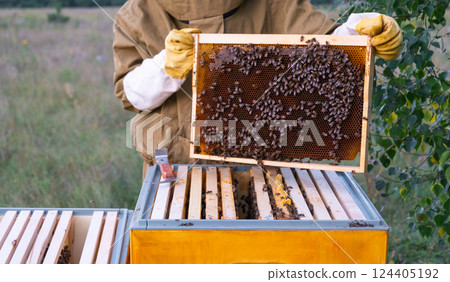 A beekeeper, a woman in a protective suit against bee stings, holds a frame with honey from a bee hive in her hands. Beekeeping, care of the hive 124405192