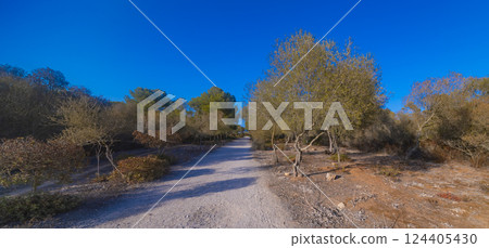 Peninsula de Llevant Natural Park, Spain 124405430