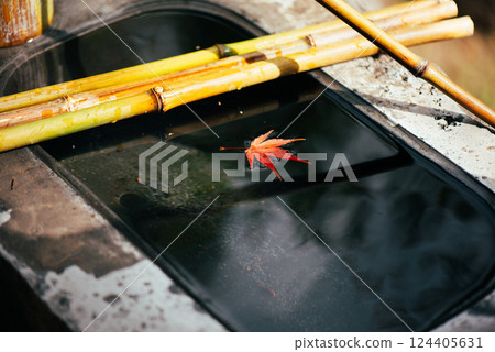 秋季跡象 秋季跡象 124405631