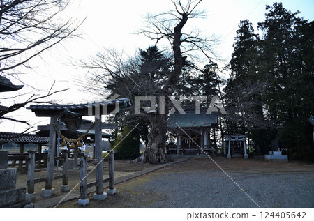 Togo Shirahige Shrine in Oka, Fukaya City, Saitama Prefecture 124405642
