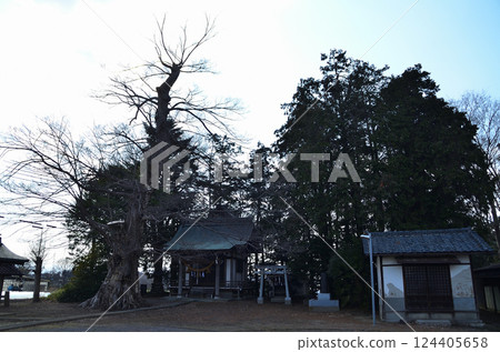 埼玉縣深谷市岡町東鄉白須神社 埼玉縣深谷市岡町東鄉白須神社 124405658