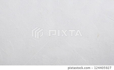 白色的紙張紋理 白色的紙張紋理 124405927