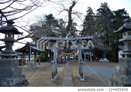 Togo Shirahige Shrine in Oka, Fukaya City, Saitama Prefecture Togo Shirahige Shrine in Oka, Fukaya City, Saitama Prefecture 124405938