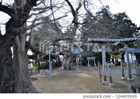 Togo Shirahige Shrine in Oka, Fukaya City, Saitama Prefecture 124405939