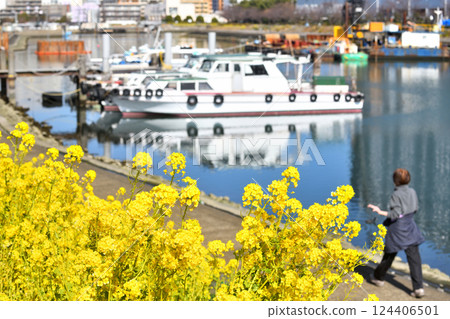 A woman strolling with a ship floating on the pier of Shinagawa Katsushima Canal 124406501