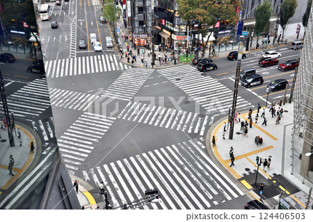 Sukiyabashi scramble crossing view 124406503
