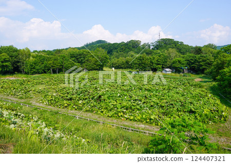 Rawanbuki viewing field (Rawamhonmachi, Ashoro Town, along the national highway) 124407321