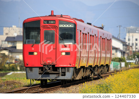 Kiha 200 series diesel train on the Kyudai main line in spring (JR Kyushu) 124407330