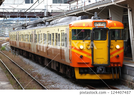 Shinano Railway 115 series train (Taiwan Railway Tze-Qiang color) 124407487