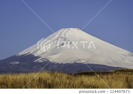 Snow-capped Fuji from the Susono City Higashi-Fuji Training Area 124407673