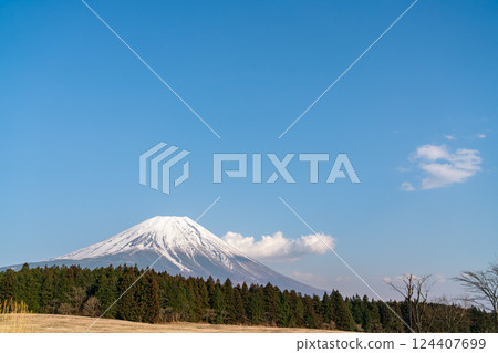 [Shizuoka Prefecture] Mount Fuji on a clear spring day 124407699
