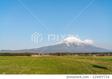 [Shizuoka Prefecture] Mount Fuji on a clear spring day 124407718