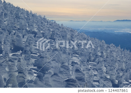 Spectacular winter scenery: the frost-covered trees of Zao. Yamagata, Japan. Late January. 124407861