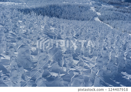 Spectacular winter scenery: the frost-covered trees of Zao. Yamagata, Japan. Late January. 124407918