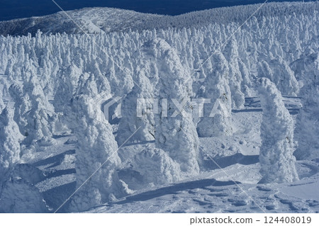 Spectacular winter scenery: the frost-covered trees of Zao. Yamagata, Japan. Late January. Spectacular winter scenery: the frost-covered trees of Zao. Yamagata, Japan. Late January. 124408019