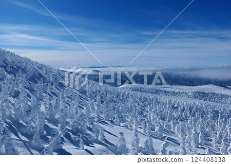 Spectacular winter scenery: the frost-covered trees of Zao. Yamagata, Japan. Late January. 124408138