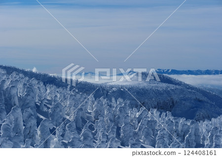 Spectacular winter scenery: the frost-covered trees of Zao. Yamagata, Japan. Late January. Spectacular winter scenery: the frost-covered trees of Zao. Yamagata, Japan. Late January. 124408161