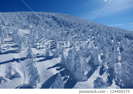 Spectacular winter scenery: the frost-covered trees of Zao. Yamagata, Japan. Late January. Spectacular winter scenery: the frost-covered trees of Zao. Yamagata, Japan. Late January. 124408175