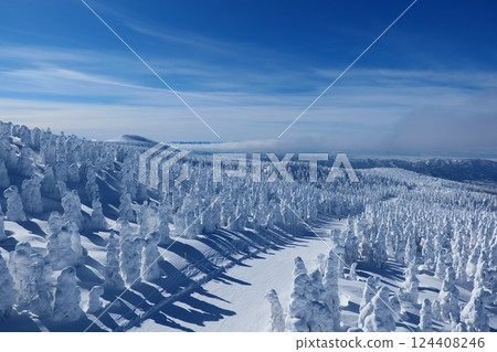 絕美的冬日風景:藏王的樹霜覆蓋。日本山形。一月下旬。 絕美的冬日風景:藏王的樹霜覆蓋。日本山形。一月下旬。 124408246