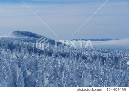 Spectacular winter scenery: the frost-covered trees of Zao. Yamagata, Japan. Late January. 124408469