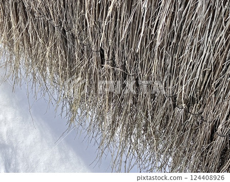 Winter landscape: withered natural materials and pale sky Winter landscape: withered natural materials and pale sky 124408926