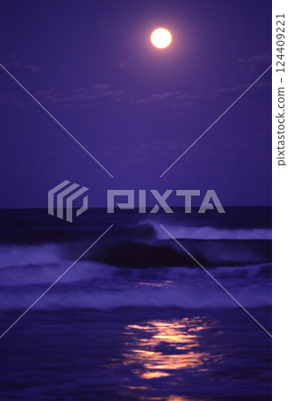月光下的大海和海浪 月光下的大海和海浪 124409221
