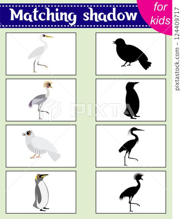 Brainteaser for kids.  Educational cards. Zoo animals. Heron, cuckoo and penguin. Find the correct shadow. Activity for preschoolers and toddlers. 124409717