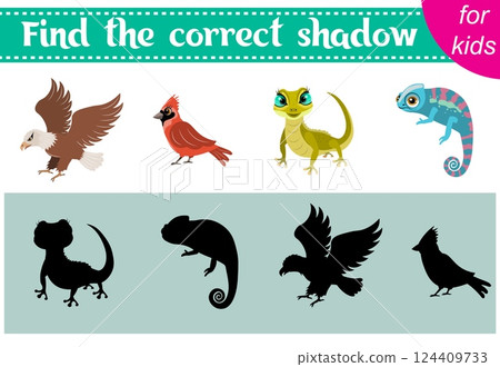 Brainteaser for kids. Zoo animals. Eagle, cardinal, lizard and chameleon. Find the correct shadow. Educational cards. Activity for preschoolers and toddlers. 124409733
