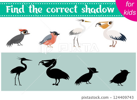 Brainteaser for kids. Zoo animals. Woodpecker, bullfinch, heron and pelican. Find the correct shadow. Educational cards. Activity for preschoolers and toddlers. 124409743