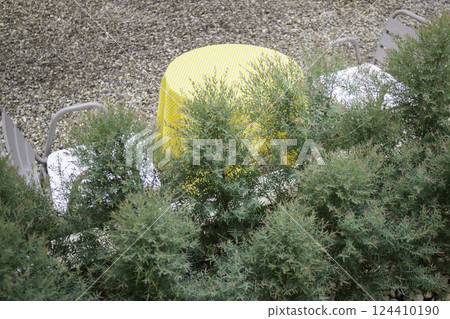 Coffee shop interior vintage style in Thailand 124410190