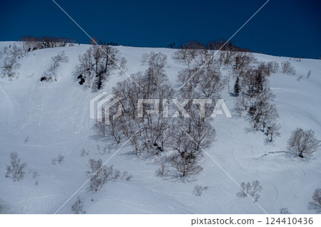 杉池高原的雪山 124410436