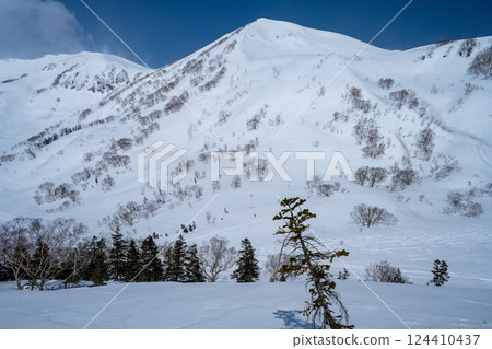 杉池高原的雪山 124410437