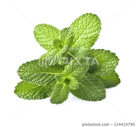 Fresh mint Fresh mint 124410790