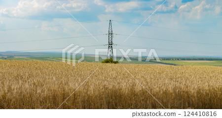 High voltage power line on field and bright blue sky. 124410816
