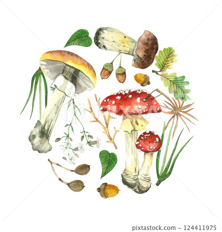 Round composition on a forest theme, mushrooms, acorns, oak leaves, flowers and wild berries. All objects are hand-painted with watercolors. Suitable for printing on postcards, decor and design. Round composition on a forest theme, mushrooms, acorns, oak leaves, flowers and wild berries. All objects are hand-painted with watercolors. Suitable for printing on postcards, decor and design. 124411975