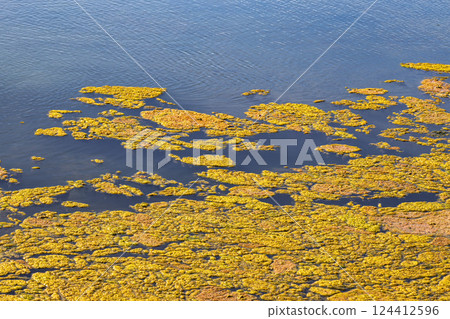 Landscape view of Parque Natural da Ria Formosa near Faro, Portugal 124412596