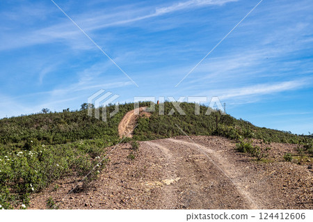 Sandstone Menir dating from 6000-4500 BC in the dry hills near Vale Fuzeiros, Algarve, Portugal. 124412606