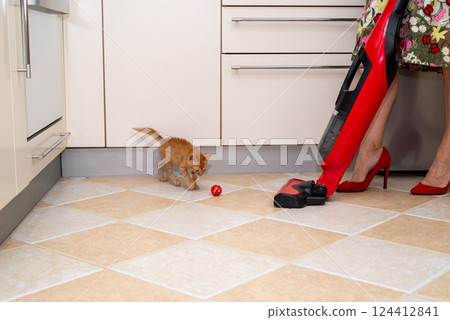 Woman in red shoes cleaning with vacuum cleaner kitchen floor while charming orange kitten is joyfully playing 124412841