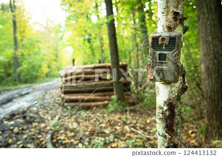 A camera trap guarding wood in the forest A camera trap guarding wood in the forest 124413132