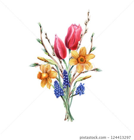 A bouquet of spring flowers. Pink tulips, yellow daffodils, blue grape hyacinth, Muscari, pussy willow branches. Hand drawn botanical watercolor illustration isolated on white. For clip art cards 124413297