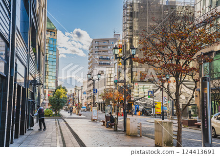 Winter cityscape of Shizuoka City (Shizuoka Prefecture) Winter cityscape of Shizuoka City (Shizuoka Prefecture) 124413691