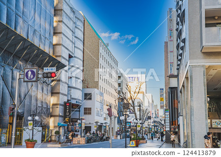 Winter cityscape of Shizuoka City (Shizuoka Prefecture) 124413879