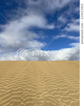 Sand dune in Maspalomas, Gran Canaria. Sand barkhan with a wavy pattern Sand dune in Maspalomas, Gran Canaria. Sand barkhan with a wavy pattern 124413925