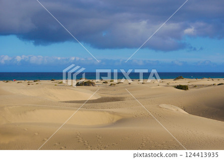 Sand dune with a sea beach at the background in Maspalomas, Gran Canaria Sand dune with a sea beach at the background in Maspalomas, Gran Canaria 124413935