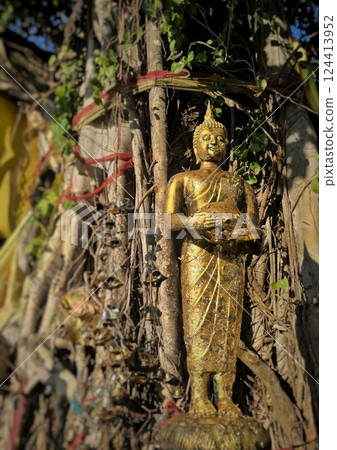 Standing Buddha at Golden-colored temple near Bangkok Standing Buddha at Golden-colored temple near Bangkok 124413952