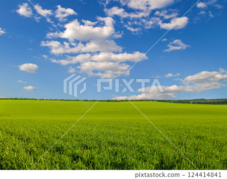 Green field and blue sky with clouds. 124414841