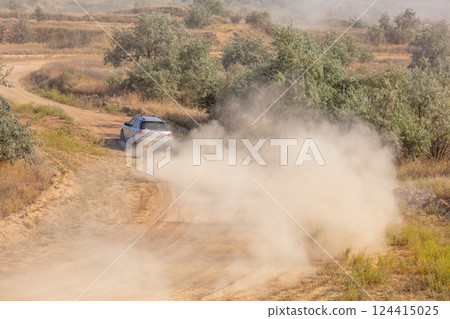 Rally Hatchback in a Cloud of Dust on a Dirt Road 124415025