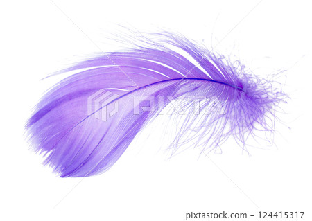 Light fluffy violet feather isolated on white background. Light fluffy violet feather isolated on white background. 124415317
