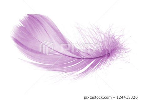 Light fluffy pink feather isolated on white background. 124415320